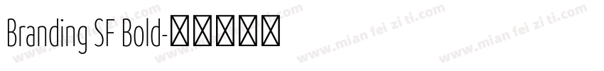 Branding SF Bold字体转换